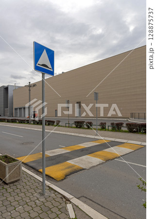 Street Speed Bump Sign Street Speed Bump Sign 128875737