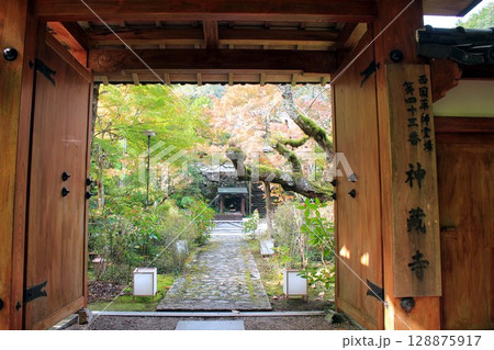 神蔵寺紅葉 128875917