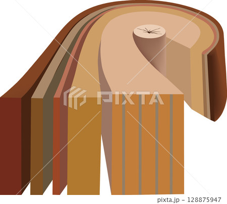 Exploring the intricate layers and pith of a hardwood log, biology and forestry unveiled 128875947
