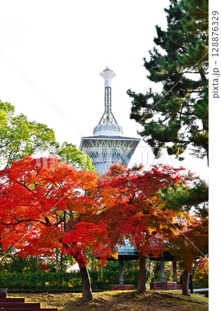 秋の鶴見緑地公園 紅葉に包まれたいのちの塔 花博記念公園 大阪観光スポット 秋の鶴見緑地公園 紅葉に包まれたいのちの塔 花博記念公園 大阪観光スポット 128876329