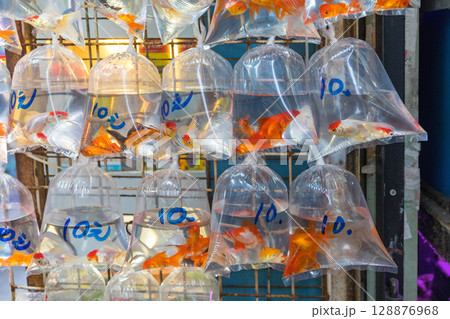 Gold Fish Bags Gold Fish Bags 128876968