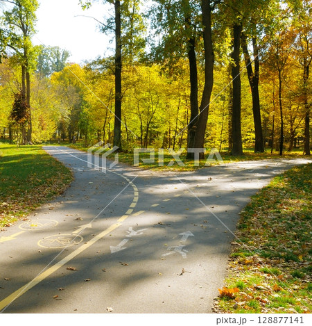 Bicycle path and footpath with warning sign. Autumn Park. 128877141