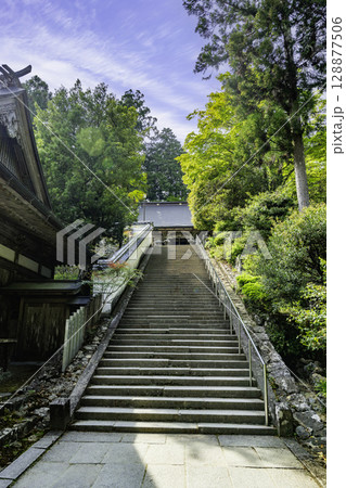 四国八十八箇所20番 鶴林寺 石段 徳島県勝浦町 四国八十八箇所20番 鶴林寺 石段 徳島県勝浦町 128877506
