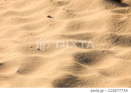 abstract sand texture pattern beach sandy background 128877734