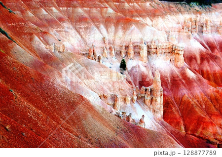 Bryce Canyon, National Park, USA. Bryce Canyon, National Park, USA. 128877789