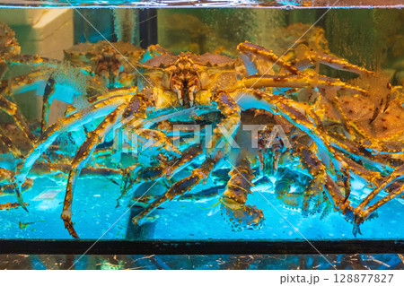Crabs Water Tank 128877827