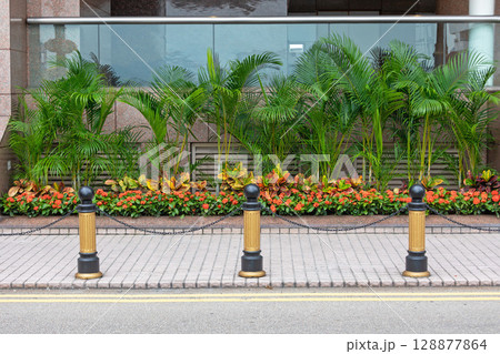 Street Plants Decor 128877864