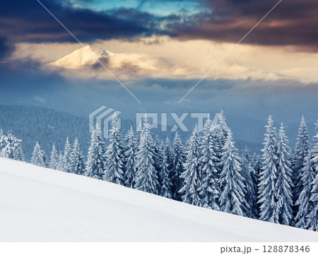 winter winter 128878346