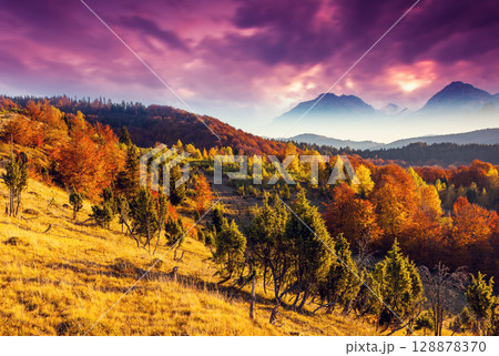 autumn autumn 128878370