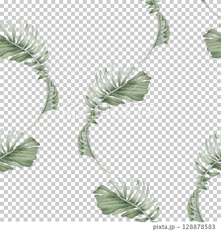 Seamless tropical watercolor pattern isolated on white. Curling palm fronds in muted sage green tones hand painted. Palm foliage on repeated background for beachwear fabric, wallpaper, textile. 128878583