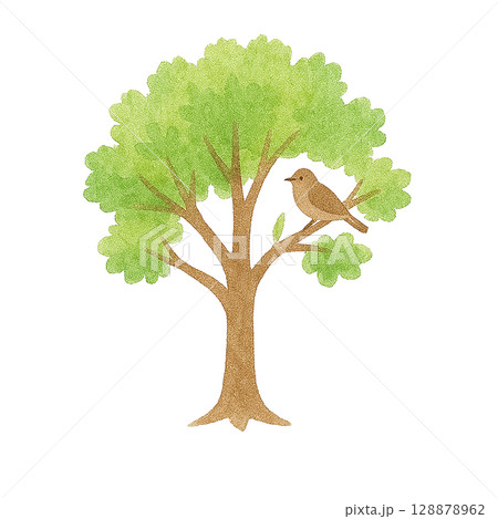小鳥がとまる樹木イラスト（PNG切り抜き） 128878962