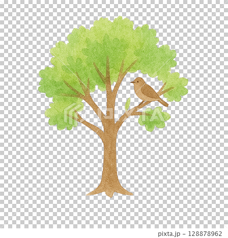 小鳥がとまる樹木イラスト（PNG切り抜き） 128878962