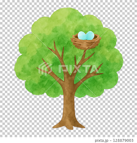 帶有巢穴的樹插圖（PNG 剪貼圖） 128879003