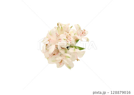 白背景のアルストロメリアの花束 白背景のアルストロメリアの花束 128879016