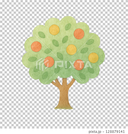 実をつけた樹木イラスト（PNG切り抜き） 128879141