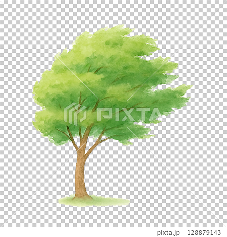 風に揺れる樹木イラスト（PNG切り抜き） 128879143