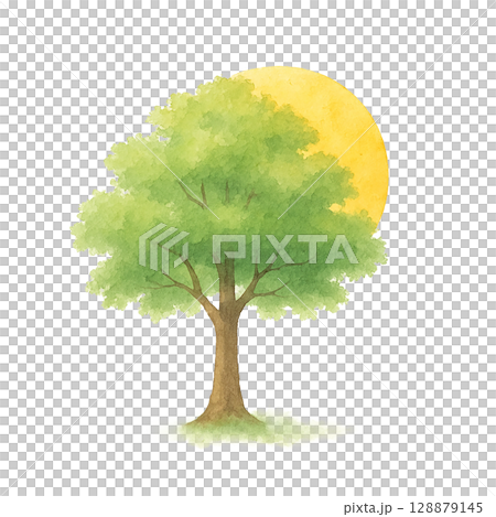 夕日を背にした樹木イラスト（PNG切り抜き） 128879145