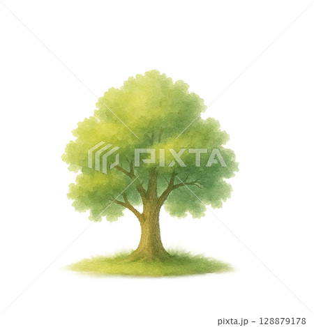 シンプルな樹木イラスト(PNG切り抜き) シンプルな樹木イラスト(PNG切り抜き) 128879178