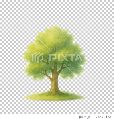 シンプルな樹木イラスト(PNG切り抜き) シンプルな樹木イラスト(PNG切り抜き) 128879178