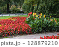 Vibrant Red and Yellow Flowers in a Lush Park Landscape 128879210
