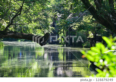 緑のある風景 緑のある風景 128879249