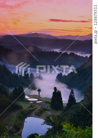 雲海朝焼けの山古志棚田の夜明け 雲海朝焼けの山古志棚田の夜明け 128879311