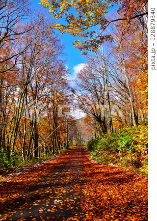 紅葉の秋山郷 128879340