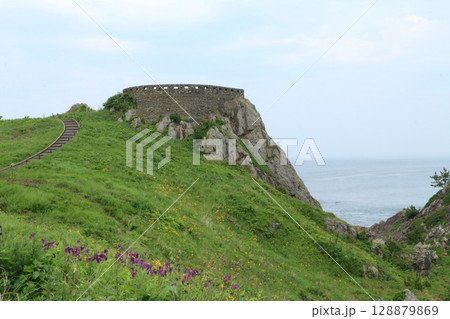 山野草咲き乱れる種差海岸を代表する葦毛崎展望台 128879869