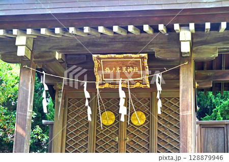 川口神社 境内社の梅ノ木天神社【埼玉県川口市】 128879946
