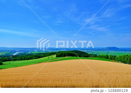 戸外炉峠の風景　(北海道深川市音江町) 128880129