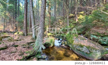 A Serene and Picturesque Forest Stream with Smooth Rocks Surrounded by Lush, Greenery 128880411