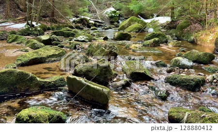 A Beautiful Serene Flowing Stream, Surrounded by a Lush Green Forest and Mossy Rocks 128880412