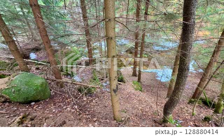 A Beautiful Serene Forest Landscape with a Stream and Rocky Outcrops Enhancing Natures Beauty 128880414