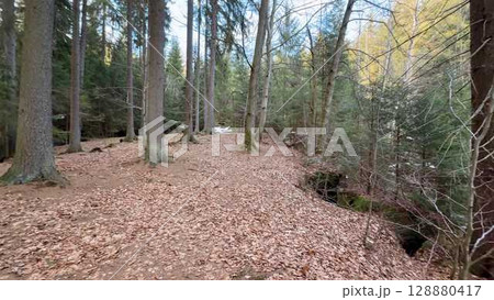 A tranquil forest pathway accompanied by a gentle stream flowing throughout the autumn season A tranquil forest pathway accompanied by a gentle stream flowing throughout the autumn season 128880417