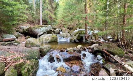 A truly tranquil forest stream that showcases the gentle flow of water through idyllic surroundings 128880419