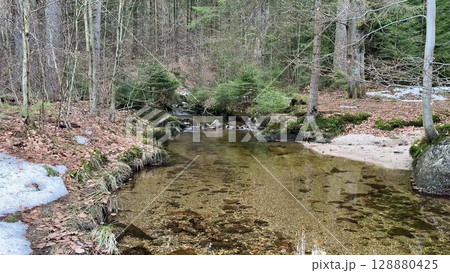 A Crystal Clear Stream Flowing Through a Serene Forest Landscape That Invites Exploration A Crystal Clear Stream Flowing Through a Serene Forest Landscape That Invites Exploration 128880425