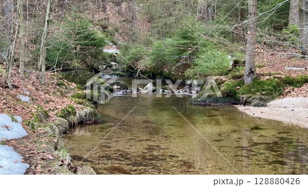 A Serene Mountain Stream Gently Flowing Through a Truly Peaceful and Beautiful Forest Setting A Serene Mountain Stream Gently Flowing Through a Truly Peaceful and Beautiful Forest Setting 128880426