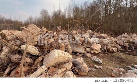 Rubble and Nature The Profound Impact of Destruction on Our Environments Ecosystem 128880473