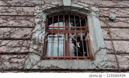 A Weathered Window adorned with Vines and secure Iron Bars, captivating in its beauty and charm 128880494