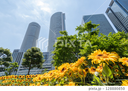 夏の高層ビル群（名古屋駅前） 128880850