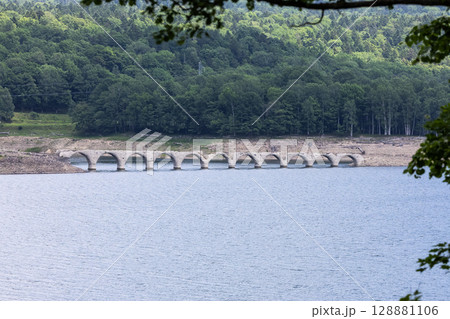 北海道糠平湖のタウシュベツ川橋梁 128881106