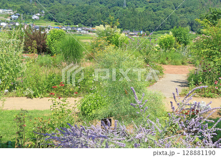 池田町ハーブステーション 花とハーブのガーデン 池田町ハーブステーション 花とハーブのガーデン 128881190
