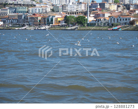 ポルトガル　ポルト　ドウロ川クルーズ　5月 128881273