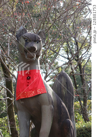 稲荷神社の狛狐像(玉をくわえた狐) 稲荷神社の狛狐像(玉をくわえた狐) 128881753