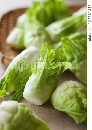 蕾菜 蕾菜 128881848