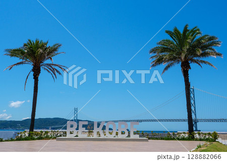 真夏のマリンピア神戸　青い空と椰子の木とヨット 128882066