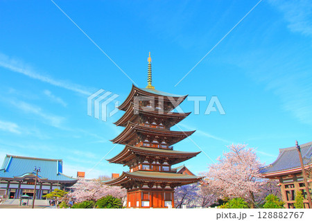 愛知県名古屋市、覚王山日泰寺五重塔と桜の風景 128882767