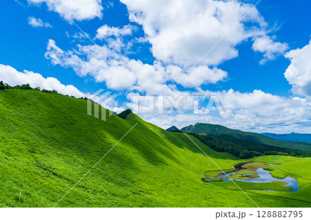 奈良県曽爾村 真夏の曽爾高原と青空に浮かぶ雲 奈良県曽爾村 真夏の曽爾高原と青空に浮かぶ雲 128882795