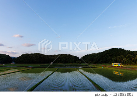 水田に映る空〜平成筑豊鉄道400型「菜の花号」 128882803