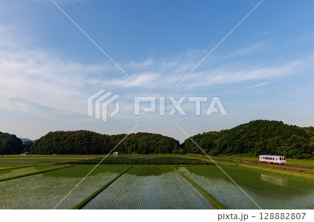 田植えが終わった水田と里山の風景〜平成筑豊鉄道「つながる号」 128882807
